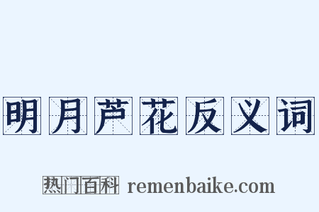 明月芦花反义词是什么意思的图片